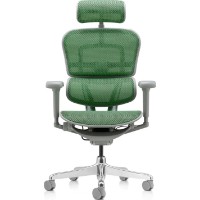 Scaun de birou Comfort T-168-B6 Ergohuman Ultra Green imaginea #3 — magazin online Desire.md