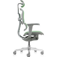 Scaun de birou Comfort T-168-B6 Ergohuman Ultra Green imaginea #4 — magazin online Desire.md
