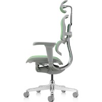 Scaun de birou Comfort T-168-B6 Ergohuman Ultra Green imaginea #5 — magazin online Desire.md