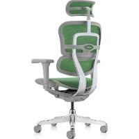 Scaun de birou Comfort T-168-B6 Ergohuman Ultra Green imaginea #6 — magazin online Desire.md