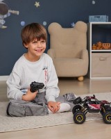 Jucărie teleghidată New World 1:16 Rock Crawler Red (2022) imaginea #5 — magazin online Desire.md
