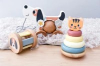 Joc educativ Tooky Toy 3in1 Gift Box (TP516) imaginea #3 — magazin online Desire.md