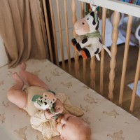 Jucărie cu sunătoare BabyOno Cow Bingo (1692) imaginea #3 — magazin online Desire.md
