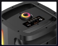 Портативная акустика Sing-e ZQS4298 Black фото №2 — интернет-магазин Desire.md
