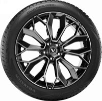 Шина Vredestein Quatrac Pro+ 315/35 R20 110Y XL фото №3 — интернет-магазин Desire.md