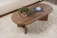 Журнальный столик Hanah Home Sable Venezia Walnut фото №3 — интернет-магазин Desire.md