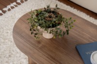 Журнальный столик Hanah Home Sable Venezia Walnut фото №5 — интернет-магазин Desire.md
