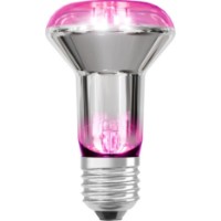 Bec Ledvance LEDS R63 GROW LAMP7.5W (4099854245138)