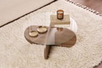 Măsuţă cafea Hanah Home Aeris Venezia Walnut Transparent imaginea #3 — magazin online Desire.md