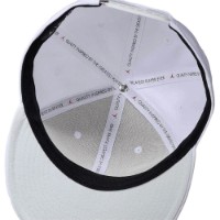 Chipiu Nike Jordan Jumpman Pro White/Photon Dust/Black, s.M/L imaginea #3 — magazin online Desire.md