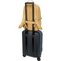 Rucsac pentru oraș Thule EnRoute 23L Pale Yellow imaginea #10 — magazin online Desire.md