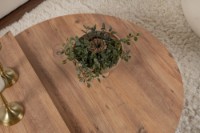 Măsuţă cafea Hanah Home Orion Atlantic Pine imaginea #5 — magazin online Desire.md