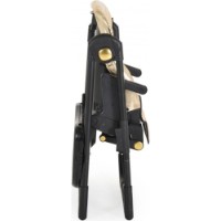 Scaun de masa Cangaroo 2in1 Tiramisu Gold Limited Edition imaginea #9 — magazin online Desire.md