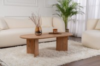 Măsuţă cafea Hanah Home Sable Atlantic Pine imaginea #6 — magazin online Desire.md