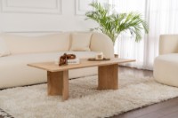 Măsuţă cafea Hanah Home Sabin Sapphire Oak imaginea #6 — magazin online Desire.md