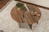 Журнальный столик Hanah Home Moira Venezia Walnut фото №3 — интернет-магазин Desire.md