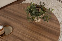 Журнальный столик Hanah Home Moira Venezia Walnut фото №6 — интернет-магазин Desire.md