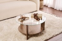 Журнальный столик Hanah Home Clara Venezia Walnut Transparent