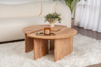 Журнальный столик Hanah Home Moira Atlantic Pine фото №1 — интернет-магазин Desire.md
