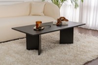 Măsuţă cafea Hanah Home Sabin Wood Black
