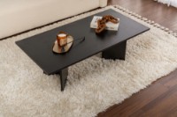 Măsuţă cafea Hanah Home Sabin Wood Black imaginea #3 — magazin online Desire.md