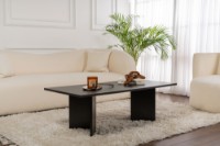 Măsuţă cafea Hanah Home Sabin Wood Black imaginea #6 — magazin online Desire.md