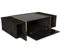 Măsuţă cafea Hanah Home Veyron Black Gold imaginea #5 — magazin online Desire.md