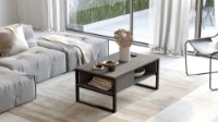 Măsuţă cafea Hanah Home Ml34-Rg Silver imaginea #4 — magazin online Desire.md
