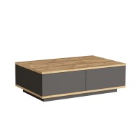 Măsuţă cafea Hanah Home FR14-AA Atlantic Pine Anthracite imaginea #3 — magazin online Desire.md