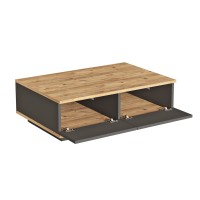 Măsuţă cafea Hanah Home FR14-AA Atlantic Pine Anthracite imaginea #4 — magazin online Desire.md