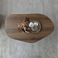Măsuţă cafea Hanah Home Nova Walnut imaginea #6 — magazin online Desire.md