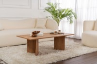 Măsuţă cafea Hanah Home Sabin Atlantic Pine imaginea #6 — magazin online Desire.md