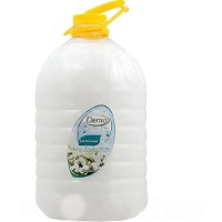 Sapun lichid pentru mîini Demo Lacrimioara 5L (02442)