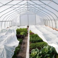 Агроволокно Agreen 17gr/m2 3.2x10m White фото №2 — интернет-магазин Desire.md
