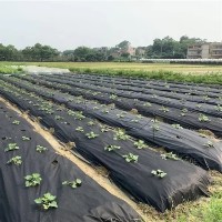 Агроволокно Agreen Black 1m x 1000пог.м 30мкм фото №2 — интернет-магазин Desire.md