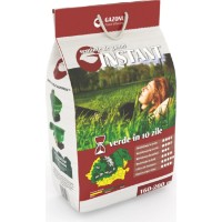 Semințe de gazon Gazonul Instant 20kg