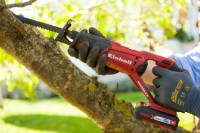 Сабельная пила Einhell TE-AP 18 Li фото №2 — интернет-магазин Desire.md