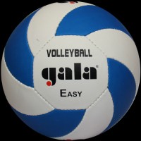 Мяч волейбольный Gala Easy BV5083S
