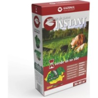 Semințe de gazon Gazonul Instant 750gr