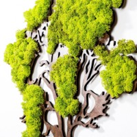 Panou decorativ Wallity Tree 2 imaginea #4 — magazin online Desire.md