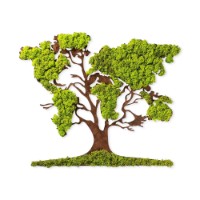 Panou decorativ Wallity Tree 2 imaginea #5 — magazin online Desire.md