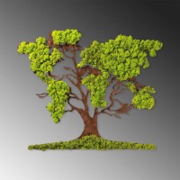 Panou decorativ Wallity Tree 2 imaginea #6 — magazin online Desire.md