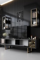 Comodă TV Hanah Home Gold Line Anthracite Black imaginea #3 — magazin online Desire.md