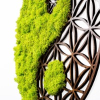Panou decorativ Wallity Yin Yang imaginea #3 — magazin online Desire.md