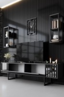 Comodă TV Hanah Home Chrome Line Anthracite Black imaginea #3 — magazin online Desire.md