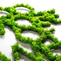 Panou decorativ Wallity Do More Of What Makes You Happy Green imaginea #5 — magazin online Desire.md
