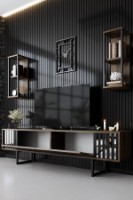 Comodă TV Hanah Home Chrome Line Walnut Black imaginea #3 — magazin online Desire.md