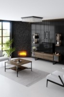 Comodă TV Hanah Home Chrome Line Walnut Black imaginea #5 — magazin online Desire.md