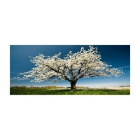 Pictură Wallity YTY1233464_50120 50x120cm imaginea #4 — magazin online Desire.md