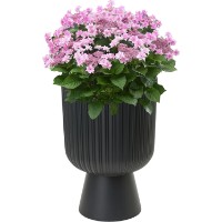 Ghiveci Form Plastic Keli Mika-40 42,1L Antracit (5135-014) imaginea #2 — magazin online Desire.md